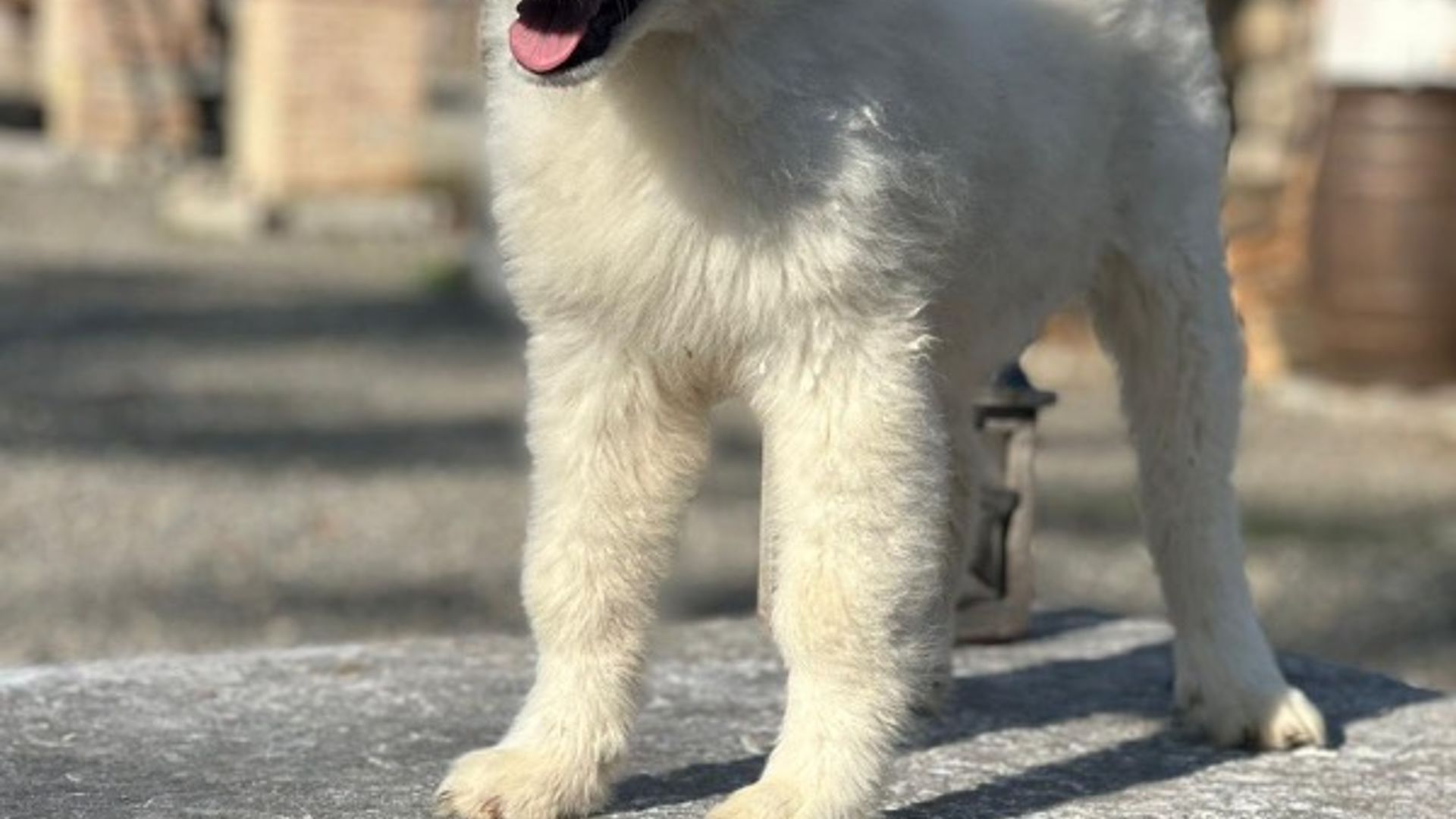 [Translate to English:] 