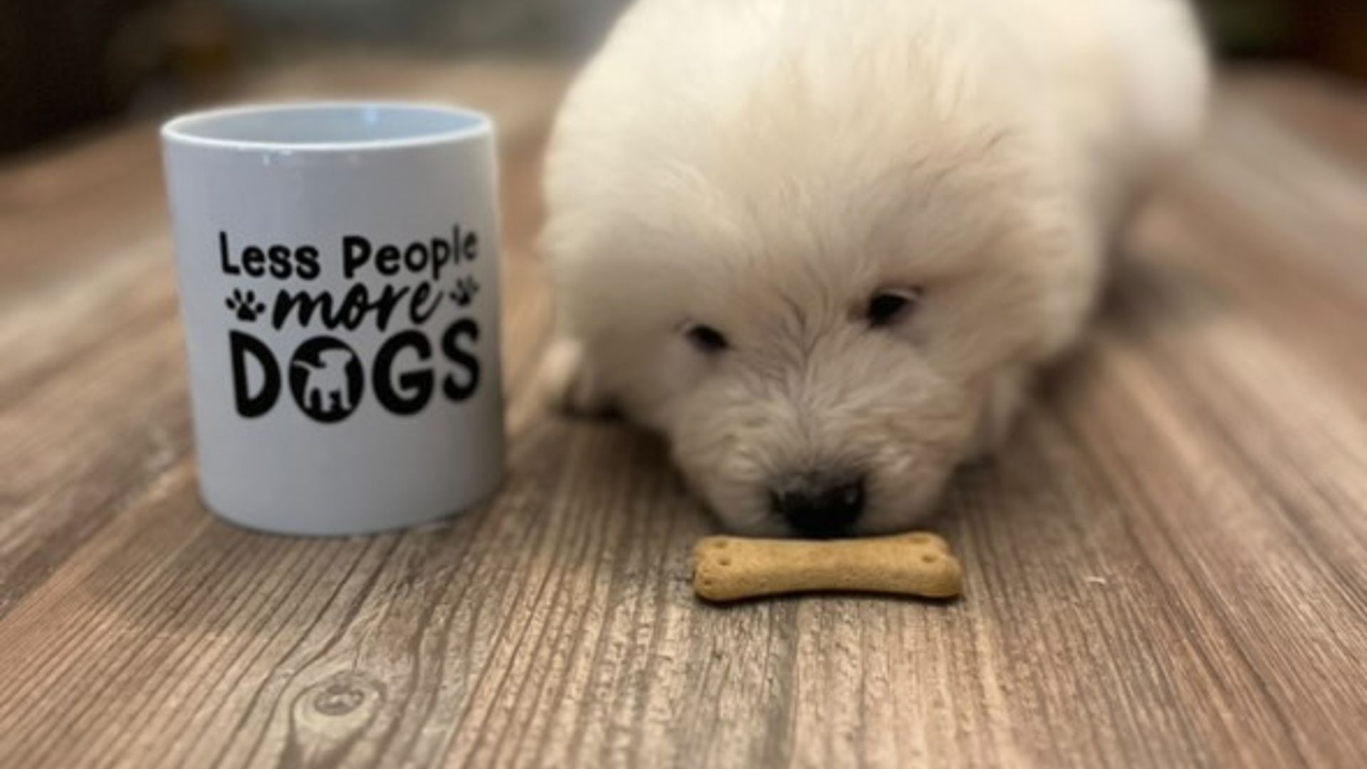 [Translate to English:] 