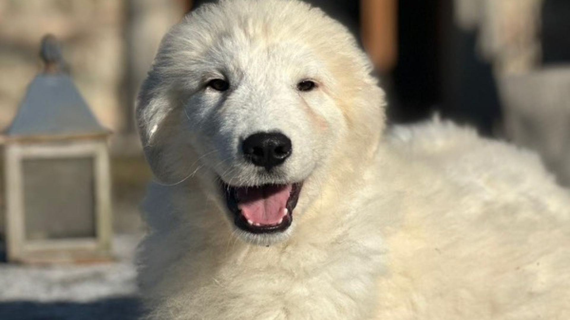 [Translate to English:] 