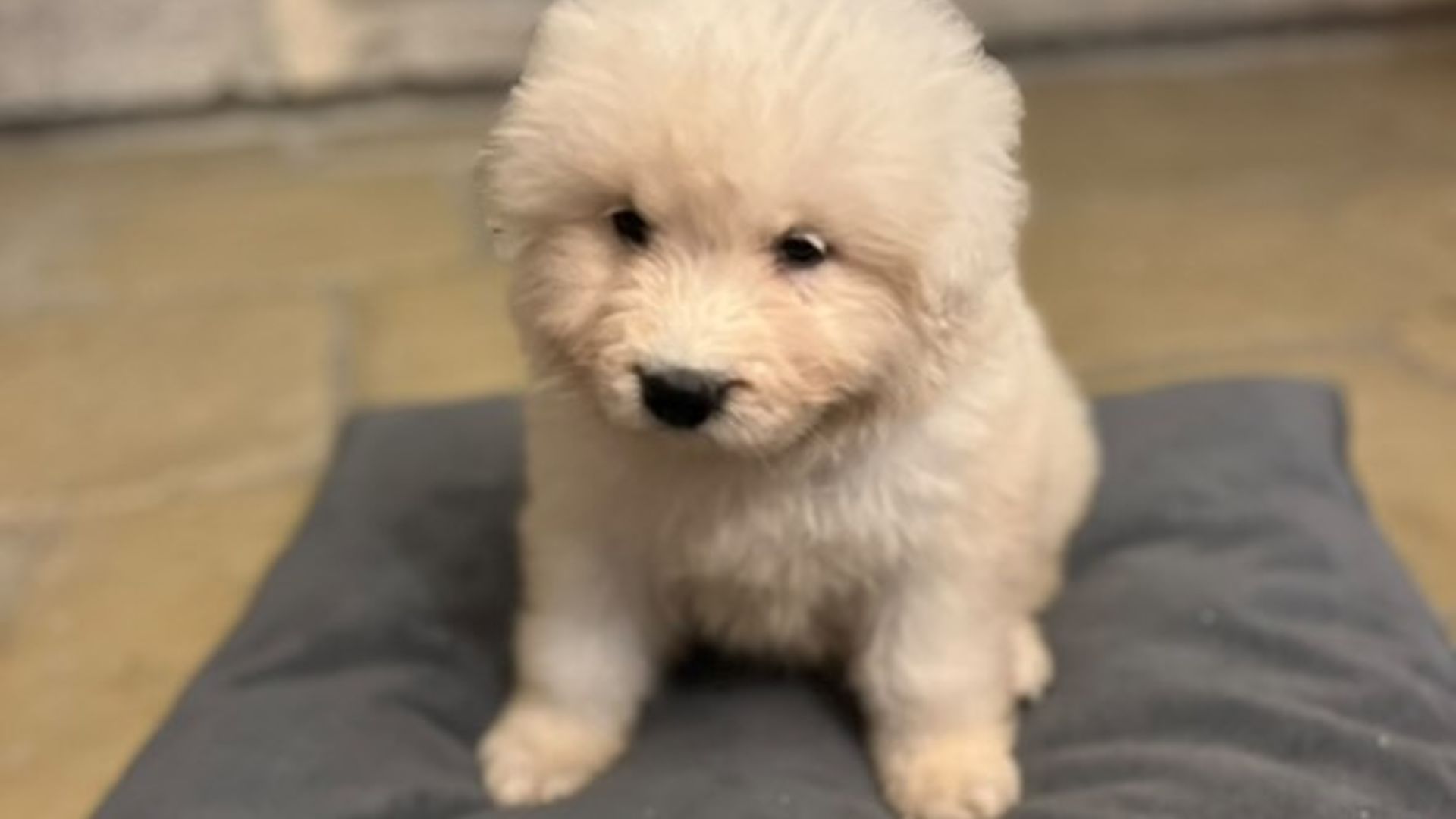 [Translate to English:] 