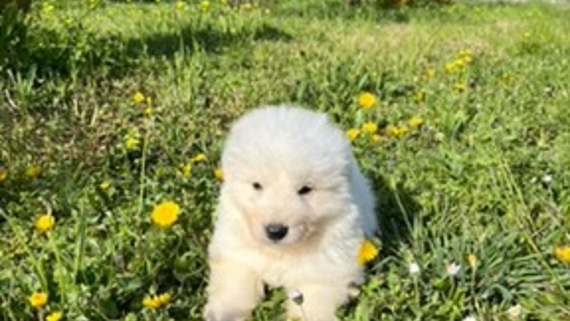 [Translate to English:] 