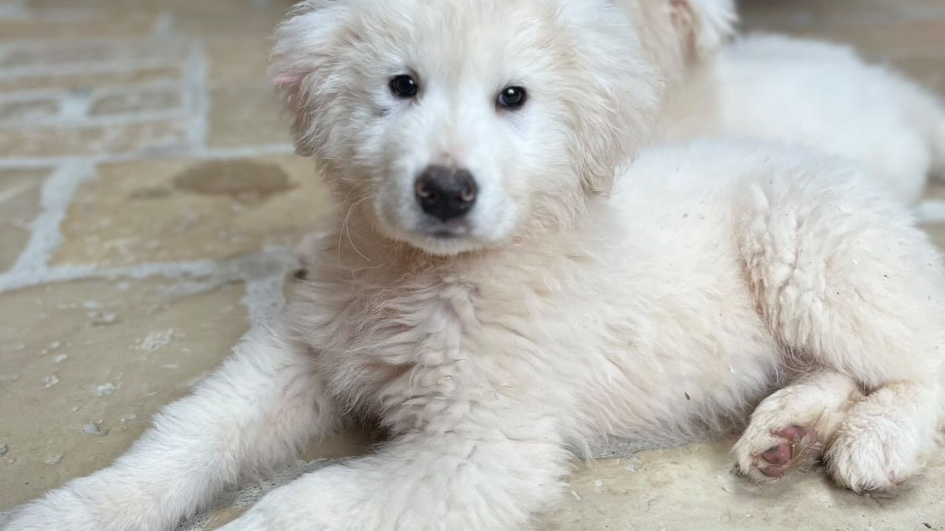 [Translate to English:] 