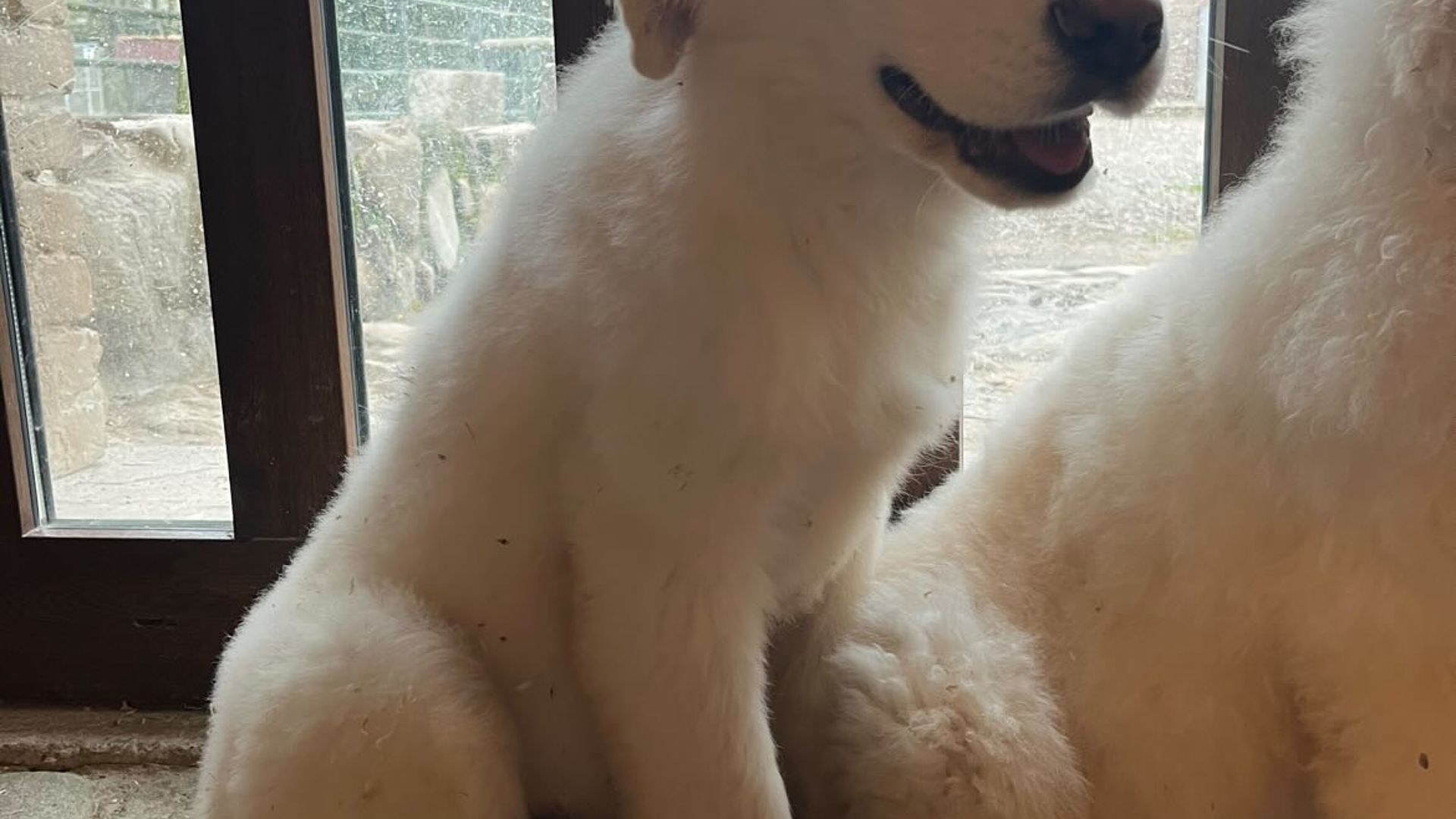 [Translate to English:] 