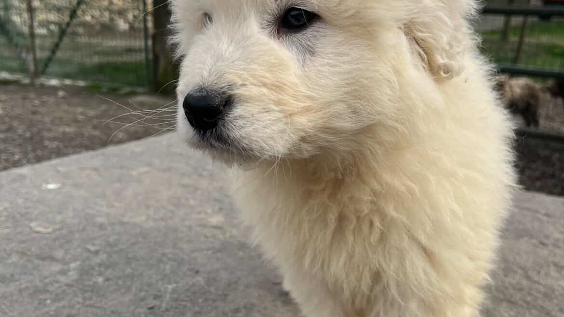 [Translate to English:] 